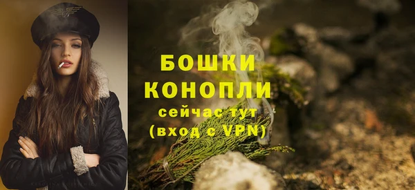 гашик Горно-Алтайск