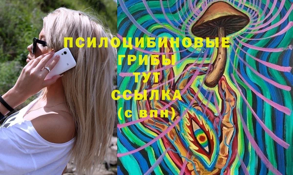 бошки Алзамай