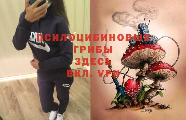 прущие грибы Алексеевка