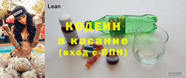ешки Гусев