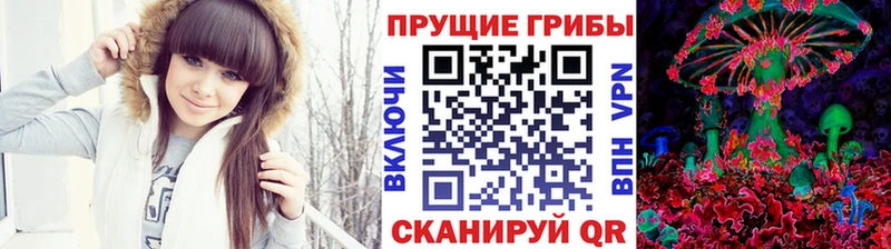 Галлюциногенные грибы Psilocybine cubensis  закладка  Полтавская 
